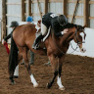 Meet your Posher, Annie